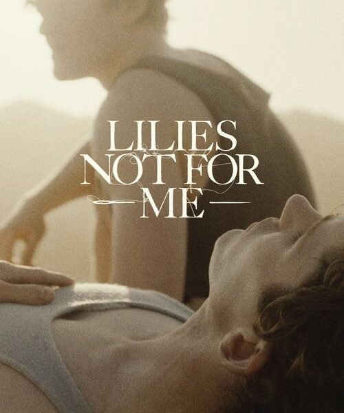 Lilies Not…